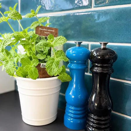 Viola Apartman Siófok